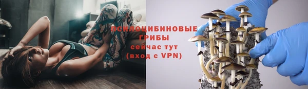 герыч Снежногорск